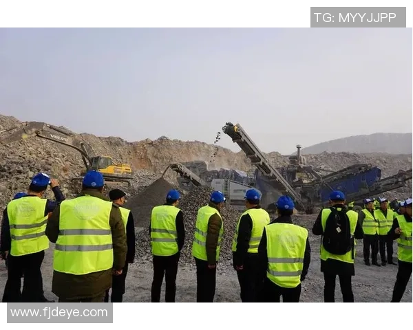 广州飞盘队近期状态对比分析及未来发展趋势探讨