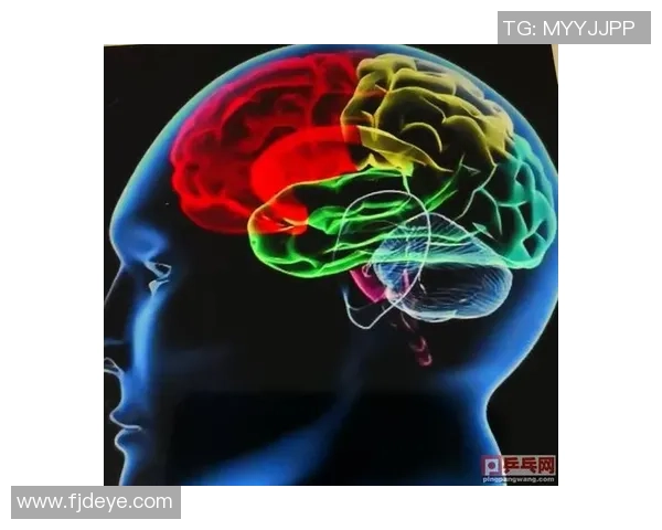 成都乒乓球队防反体系解析与战术运用探讨