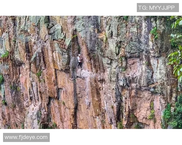 武汉极限运动队在攀岩联赛中以56分稳居积分榜首位 武汉极限运动队在攀岩联赛中以56分稳居积分榜首位