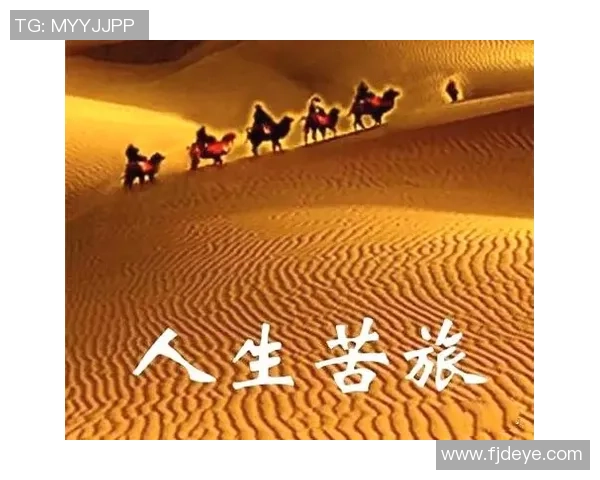 深度对话：周秀英如何在网球世界中追逐梦想与挑战人生